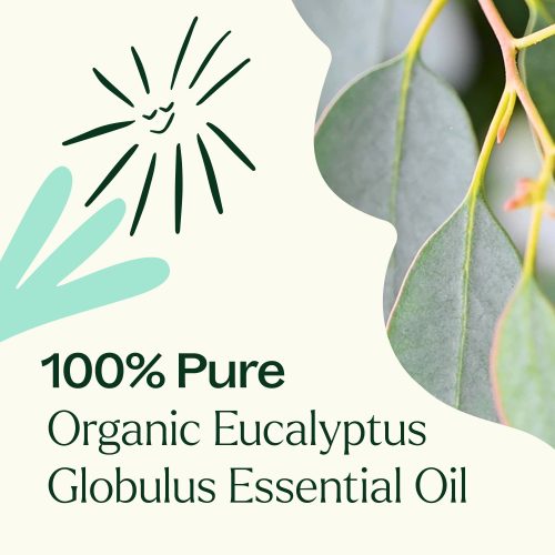 Organic Eucalyptus Globulus 03