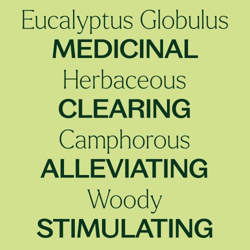 Organic Eucalyptus Globulus 04