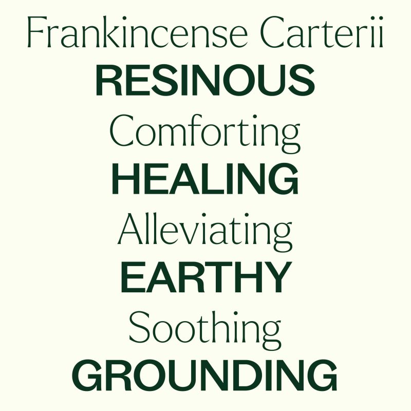 Organic Frankincense Carterii 04 min