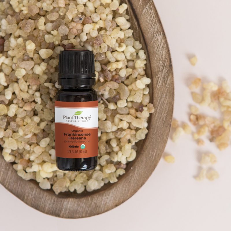 Organic Frankincense Frereana Lifestyle