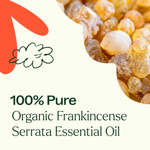 Organic Frankincense Serrata 03