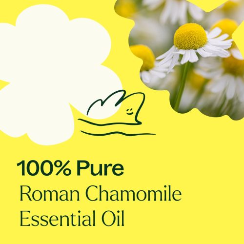 Roman Chamomile 03Large