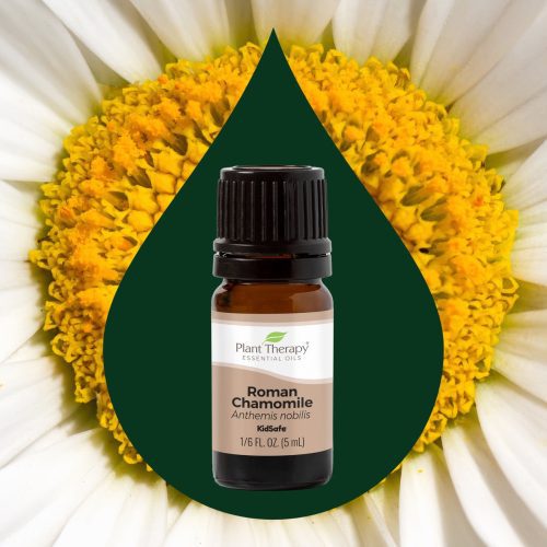 Roman Chamomile 5mL 02Large