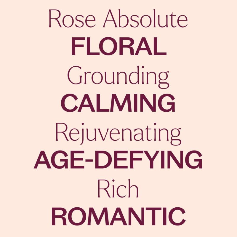 Rose Absolute 04Large 1d3da3db 9a39 423e 95f6 37c70a6dfaac