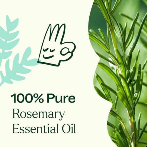 Rosemary Product Image 03Large