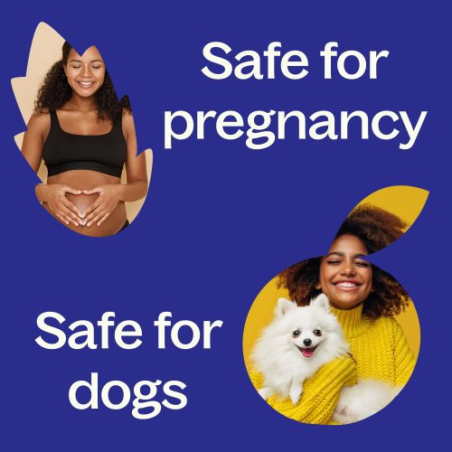 Safety Pregnancy Dogs