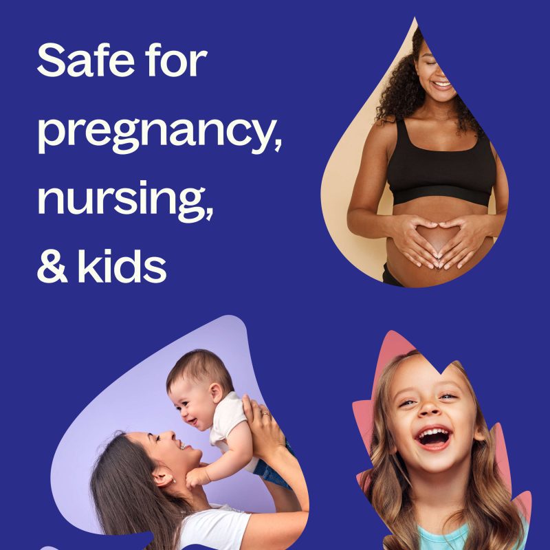 Safety Pregnancy Dogs Kids