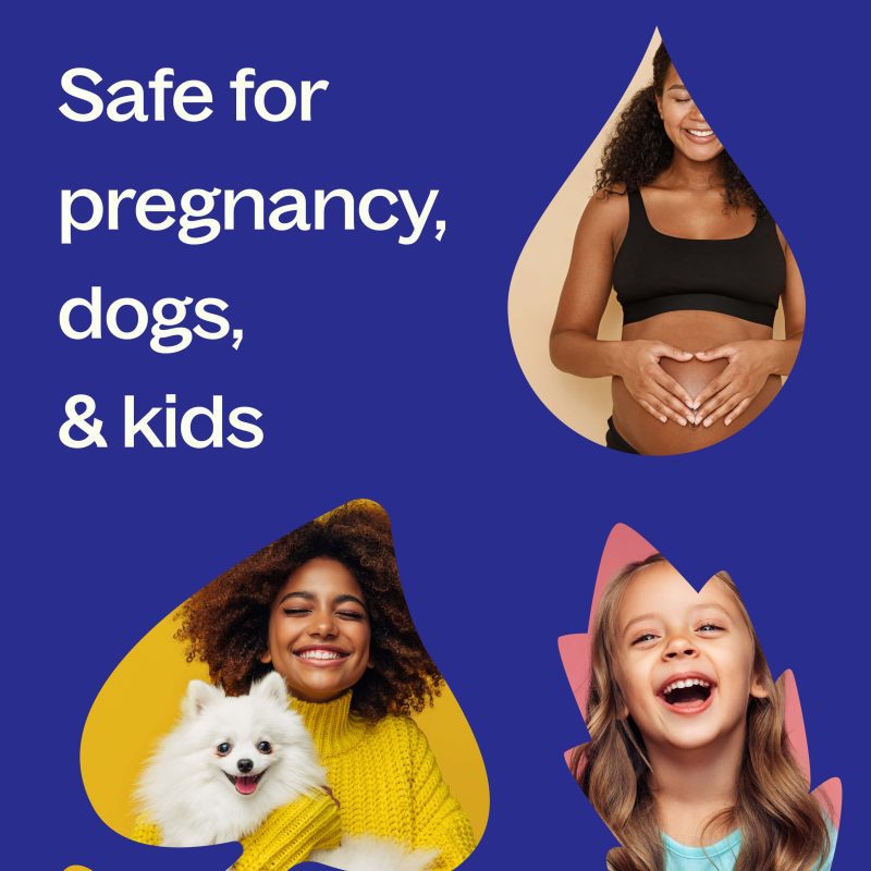 Safety Pregnancy Dogs Kids min