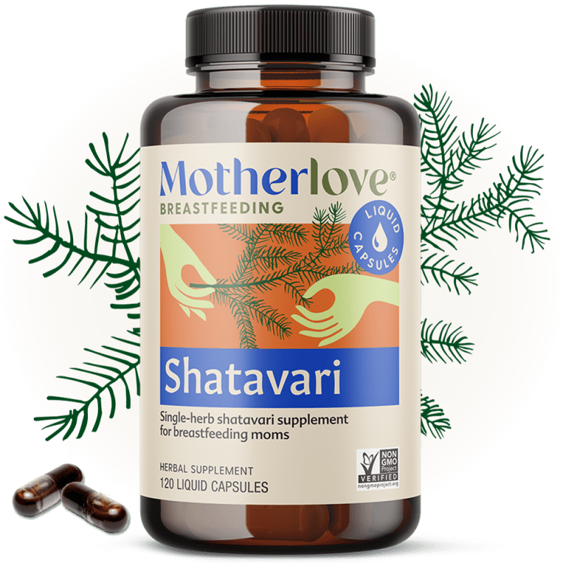 Shatavari main WEBSITE