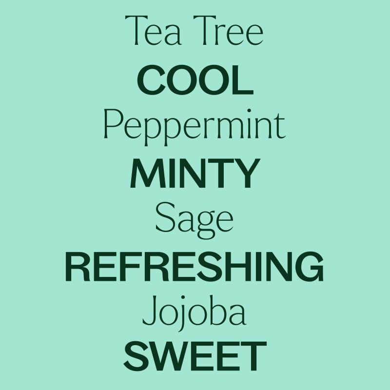 TeaTree Peppermint Amazon Images 04 78112bc4 9c8b 4d23 b0ff af6af285dd3e