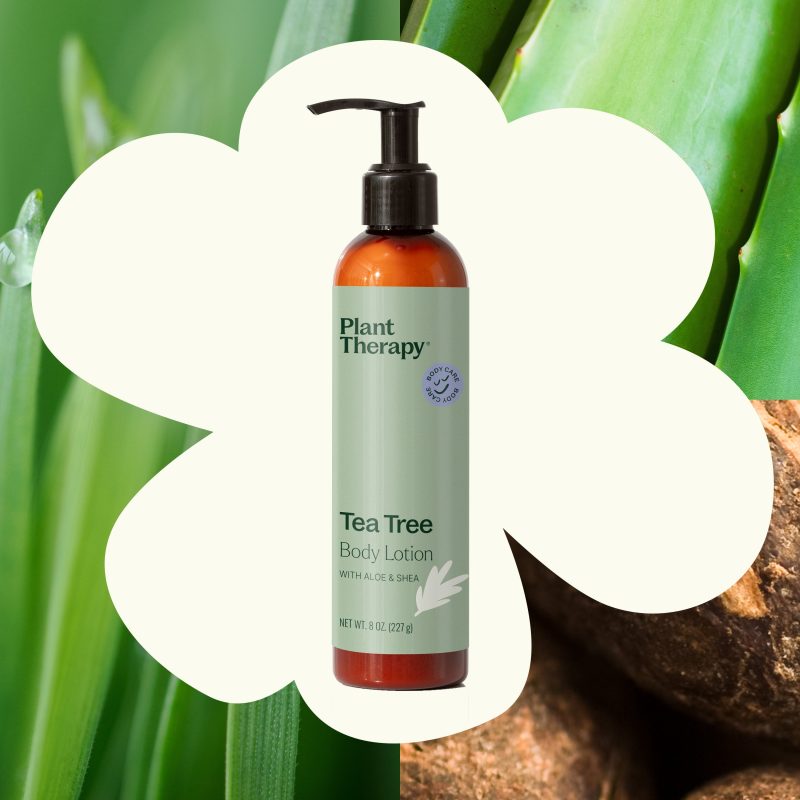 Tea Tree Body Lotion Aloe Shea 02 e5c1ca95 450a 4db0 91f2 97374a8f7717