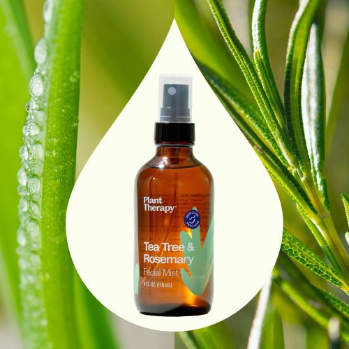 Tea Tree Rosemary Facial Mist 02