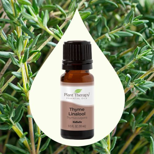 Thyme Linalool 10mL 02Large