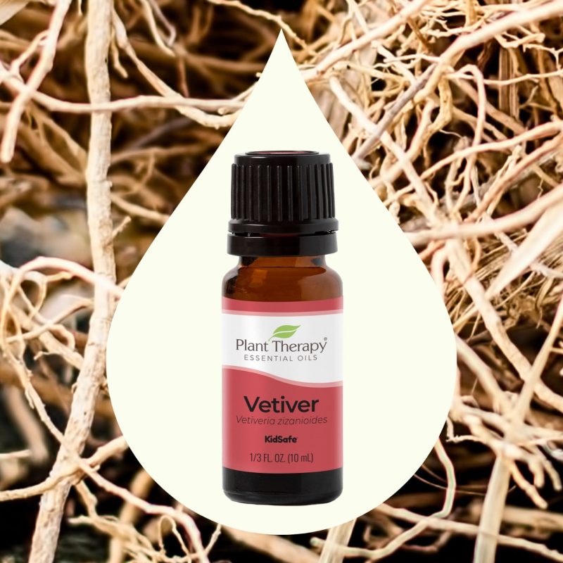 Vetiver 02Large