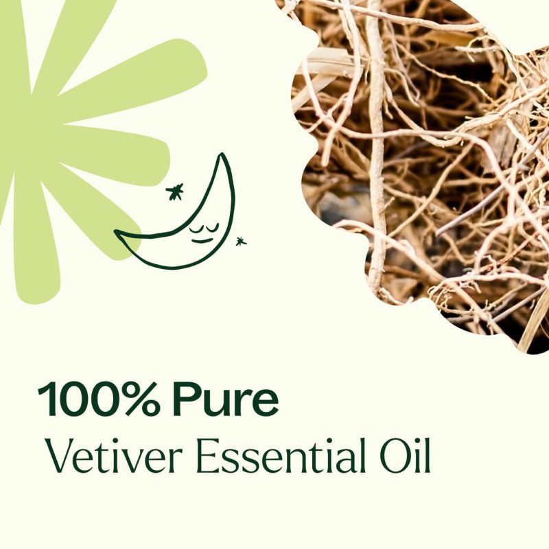 Vetiver 03Large