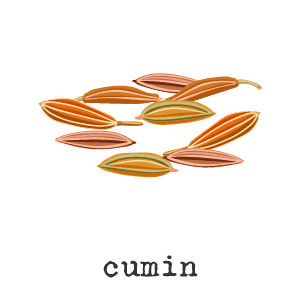 Organic Cumin