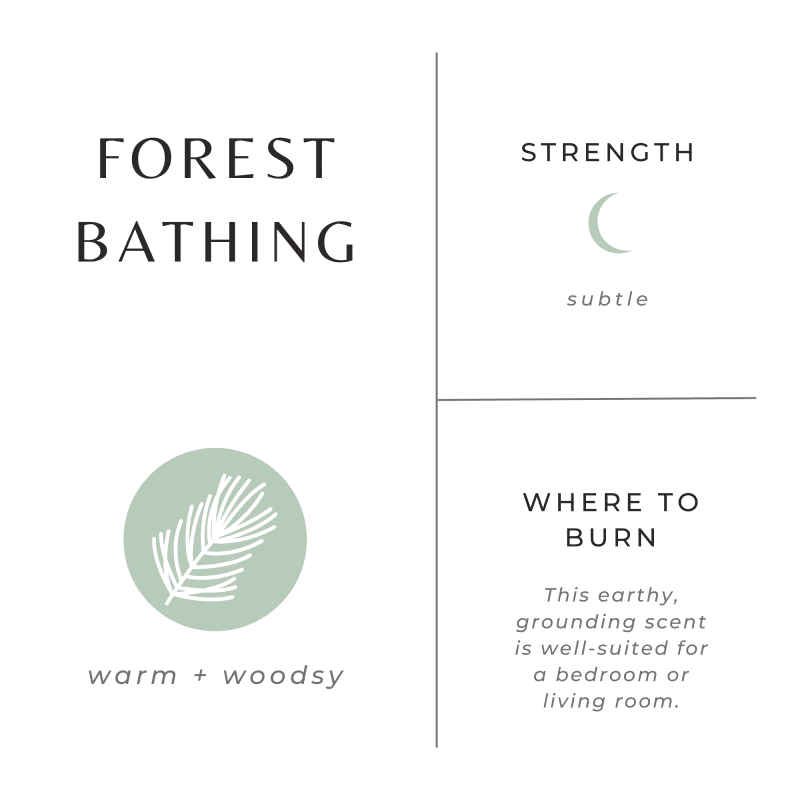 forest bathing scent graphic 86a4dac8 7887 421b 8de2 7e8d95d67230