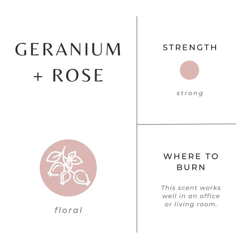 geranium rose scent graphic 313af99e 3da1 4a23 a885 31b946bb1197