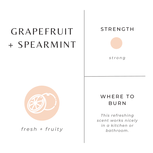 grapefruit spearmint scent graphic b40b082d b4b0 461d ac28 771d71684038