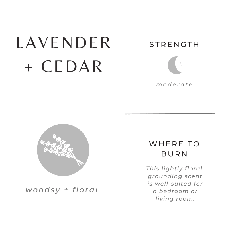 lavender cedar scent graphic 50993382 87ac 4b55 b1f7 9023b7accb27