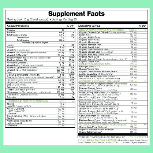 mybrainco us nootropic greens 425939