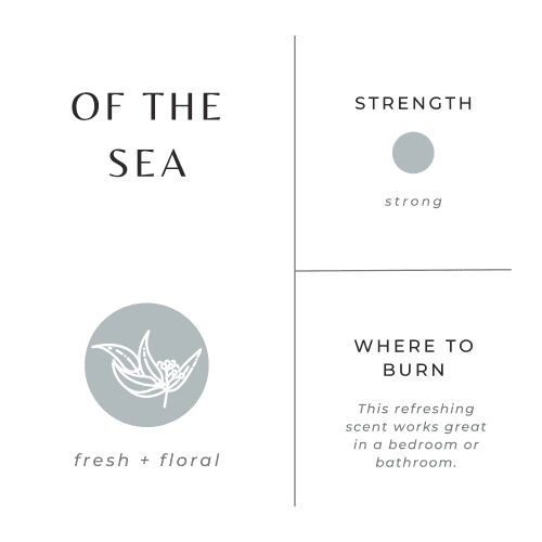 of the sea scent graphic caa2319c 0f54 40ee a10f ace5dac7777c