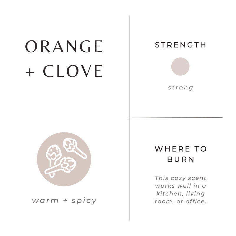 orange clove scent graphic 5e57810b 03b6 47a7 a1eb 6bc6b1614c12