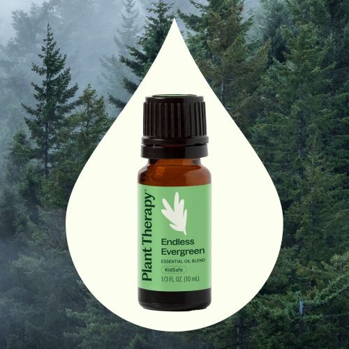 plant therapy endless evergreen essential oil blend 701482