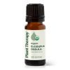 Plant Therapy Organic Eucalyptus Globulus Essential Oil