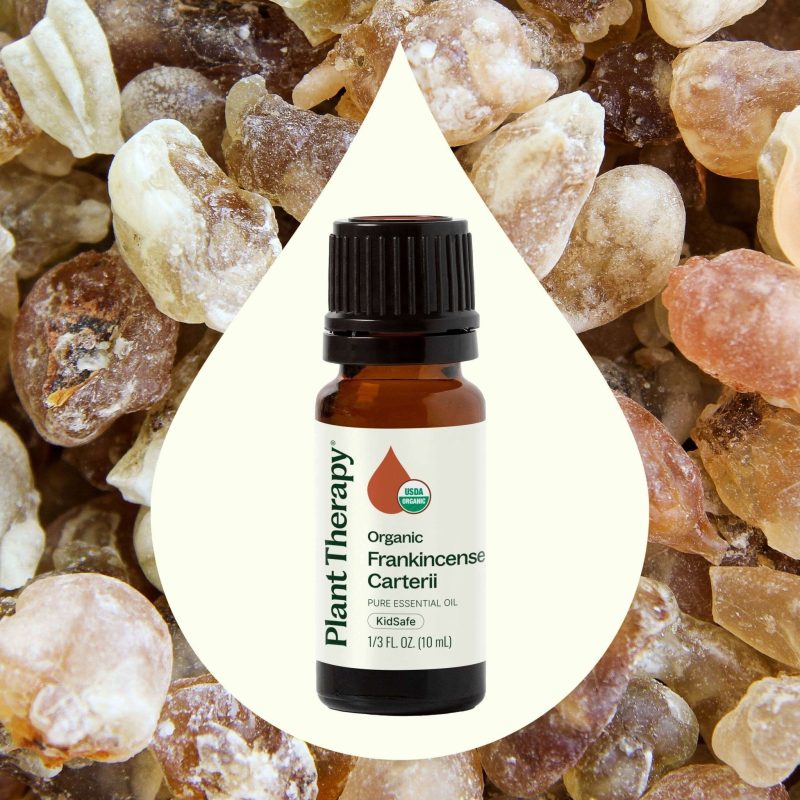 plant therapy organic frankincense carterii essential oil 174497