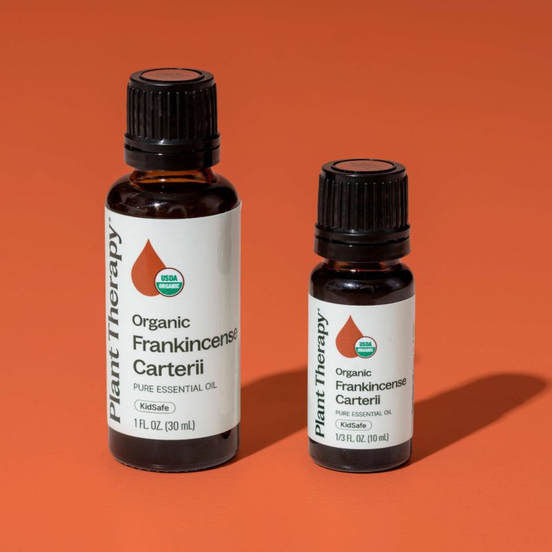 plant therapy organic frankincense carterii essential oil 466864