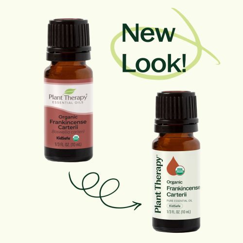 plant therapy organic frankincense carterii essential oil 812916