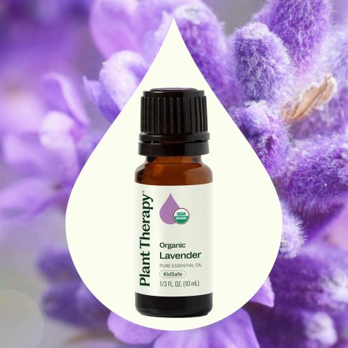 plant therapy organic lavender essential oil 124546