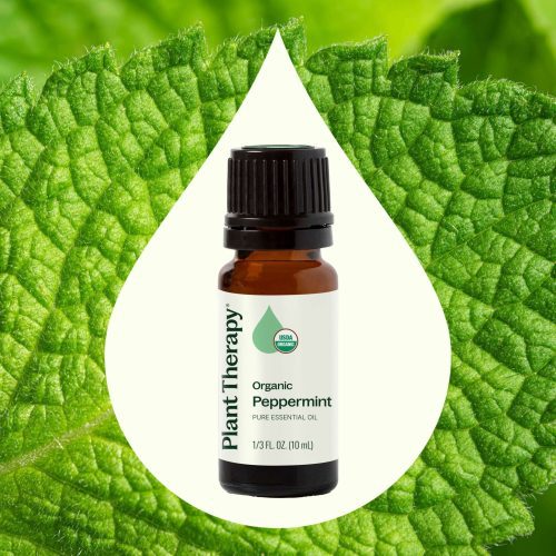 plant therapy organic peppermint essential oil 201957