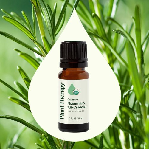 plant therapy organic rosemary 18 cineole essential oil 309754