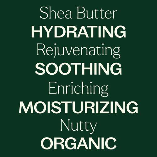 plant therapy organic shea butter 211563