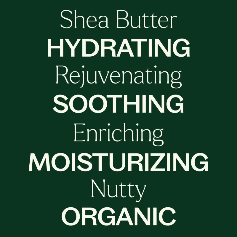 plant therapy organic shea butter 211563