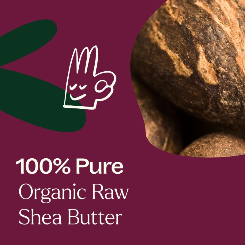 plant therapy organic shea butter 462749