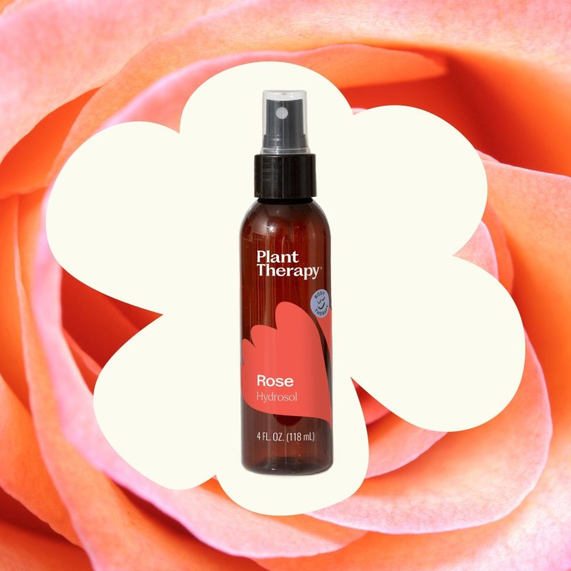 plant therapy rose hydrosol 349565