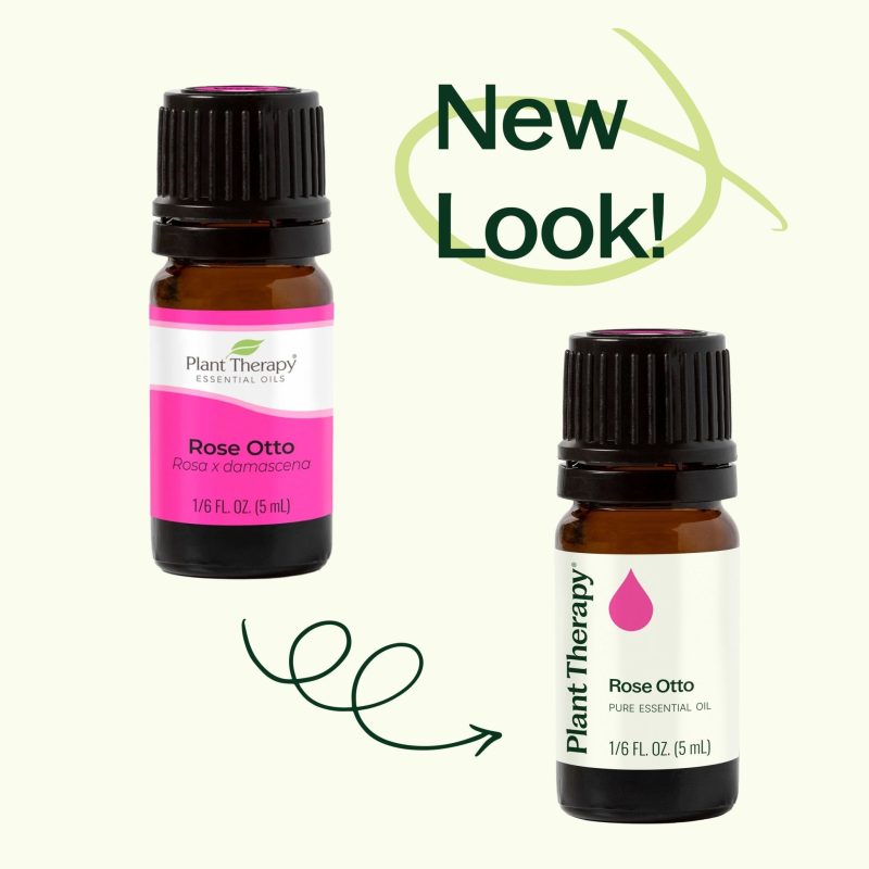 plant therapy rose otto essential oil 156356