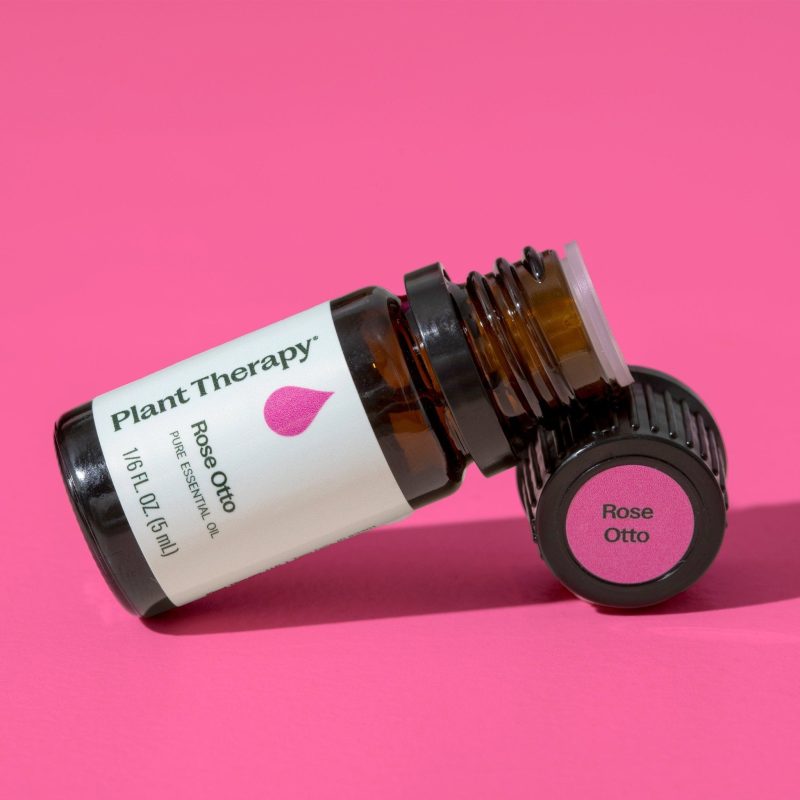 plant therapy rose otto essential oil 725160