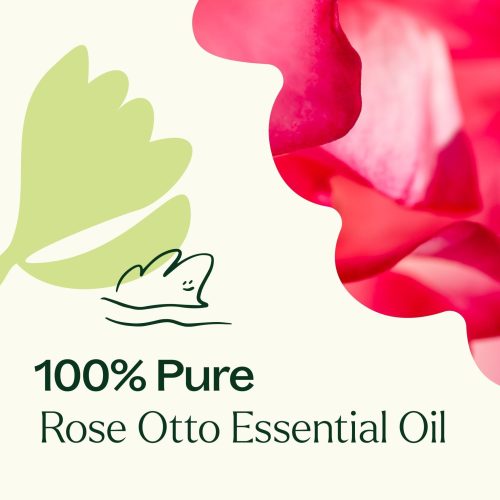 plant therapy rose otto essential oil 808967