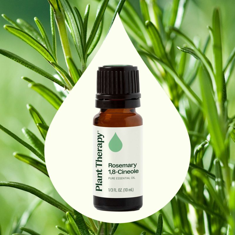 plant therapy rosemary 18 cineole essential oil 648959