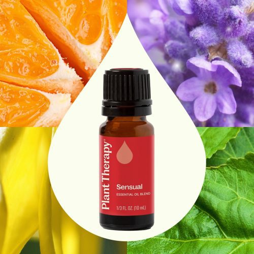 plant therapy sensual essential oil blend 719768