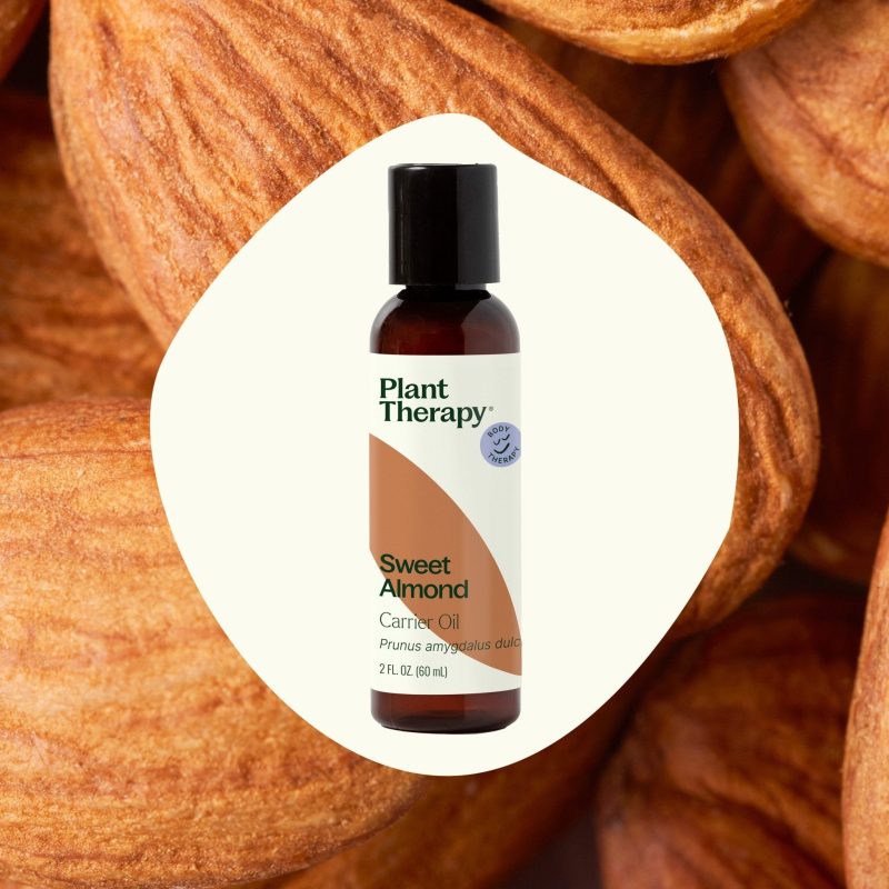 plant therapy sweet almond carrier oil 807906