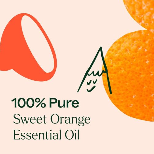 plant therapy sweet orange essential oil 181337