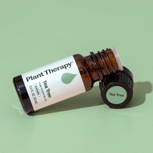 plant therapy tea tree essential oil 408055