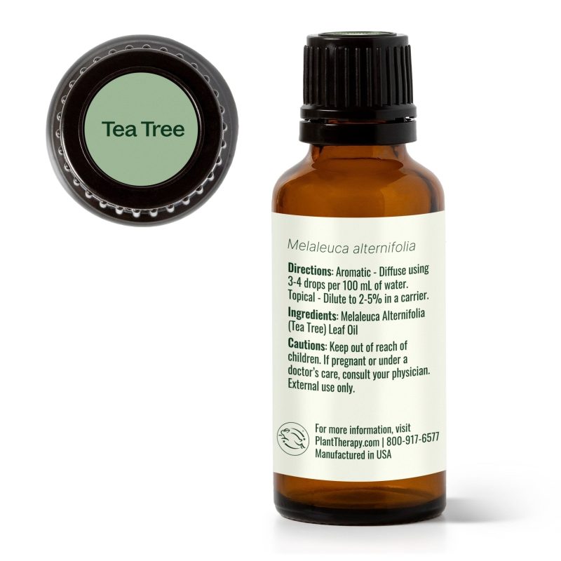 plant therapy tea tree essential oil 429805