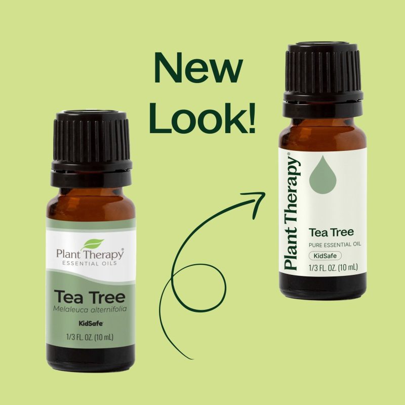 plant therapy tea tree essential oil 511630