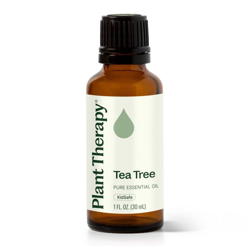 plant therapy tea tree essential oil 754574